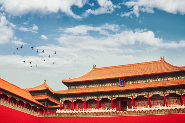 豆五行属什么，白扁豆五行属什么？